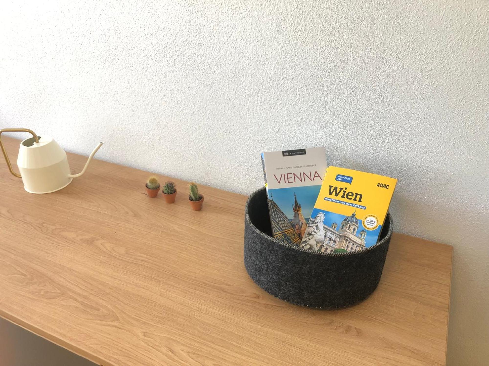 Appartement Grosse 4 Zimmer Wohnung. Schonbrunn-nahe! Wenen